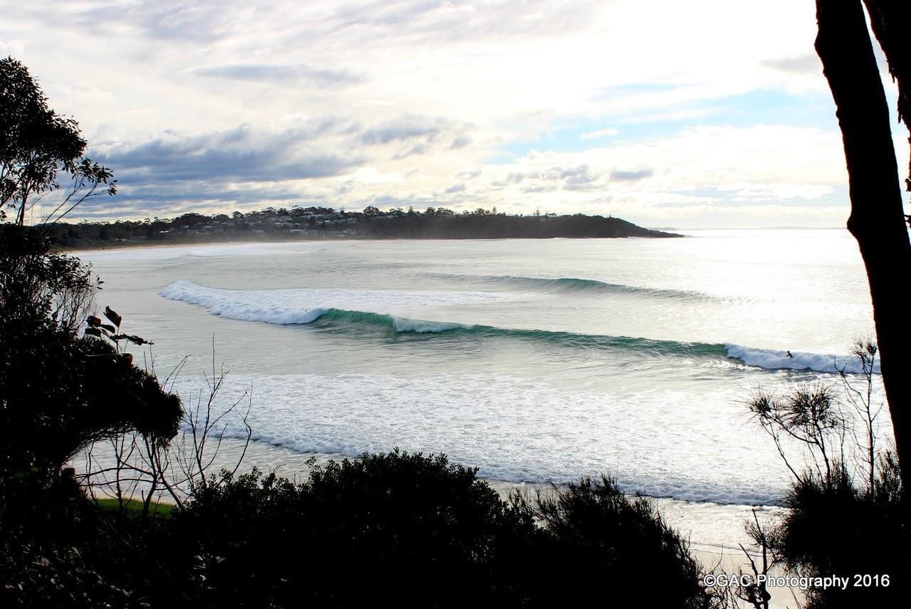 Mollymook Cove Apartments Eksteriør billede