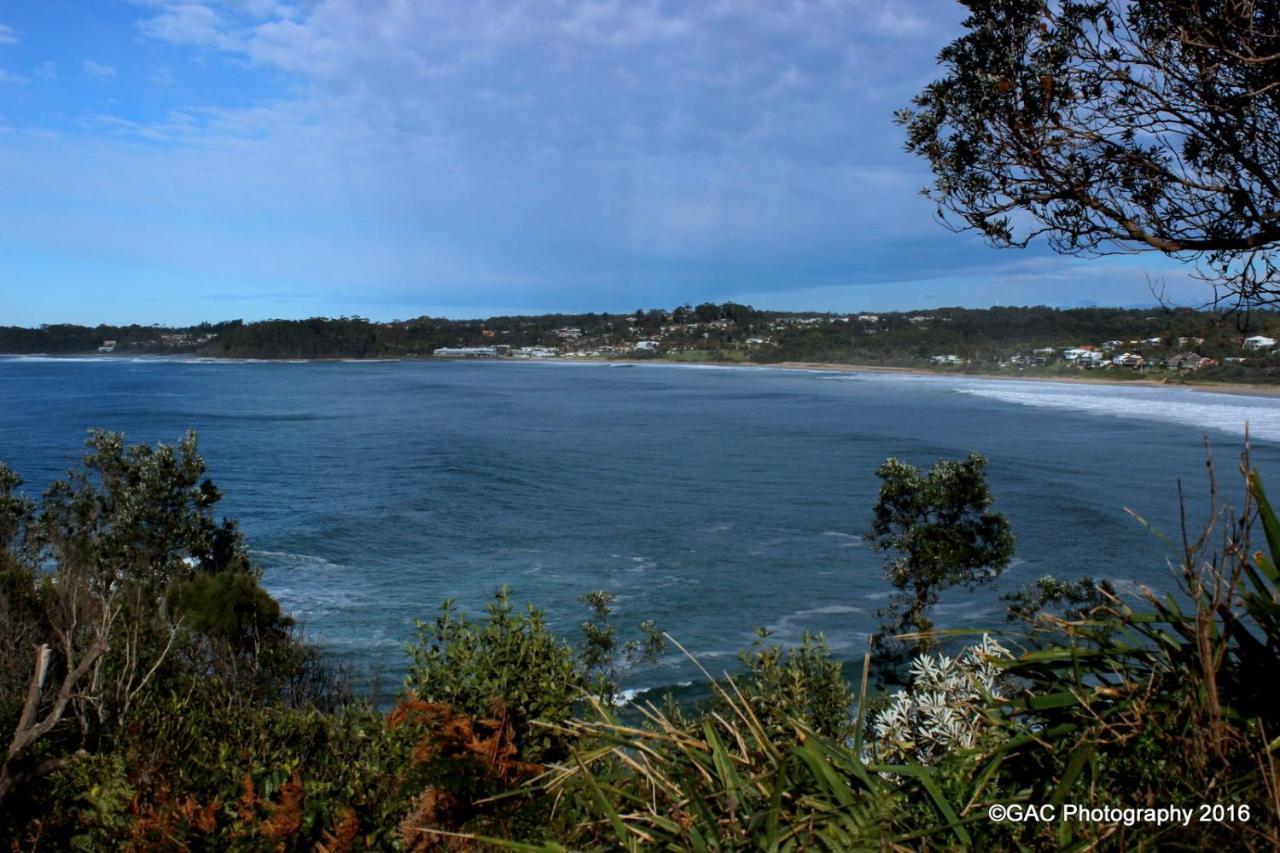 Mollymook Cove Apartments Eksteriør billede